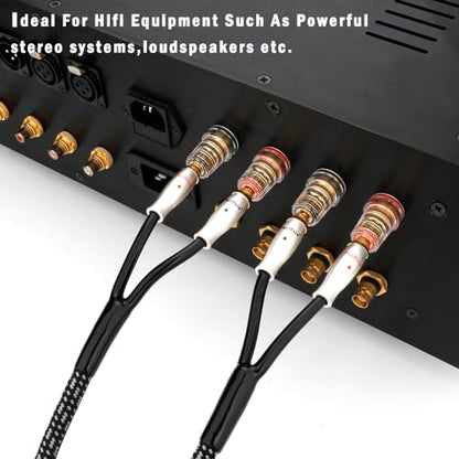 Preffair Speaker Cables 13AWG/2.5mm² HiFi Silver Plated Copper Wires with 8 BFA Style Gold Plated Banana Plugs for Amplifier, A/V Systems Theater,1 Pair (White-Black, 10 feet) - color: Silver, size: 10 feet