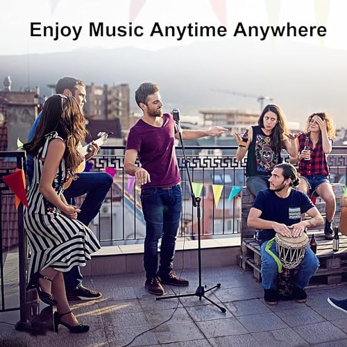 EBXYA XLR Cable 2ft 10 Packs Microphone Cable with 3-Pin XLR Male to Female | Balanced, Professional Shielded, for Mic, Mixer, Speaker Systems, Radio Station and Podcast, Black - color: Black, size: 2 Feet-10 Pack