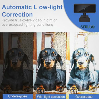 Full HD 1080P Webcam - Webcam for Pc - Auto Focus Webcams - Wide Angle Camera with Built-in Dual Mic for Laptop Computer or Desktop PC, Great for Live Streaming, Calls, Video Conferencing