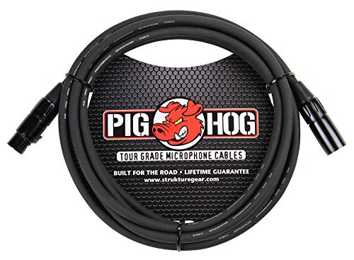 sE Electronics SE2200 Large-Diaphragm Condenser Microphone Bundle with Shockmount, Pop Screen Filter and 2 10ft XLR Cables