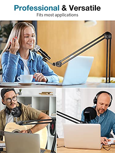 InnoGear Mic Arm Desk Mount Microphone Stand Boom Arm for Blue Yeti, Large - size: Large