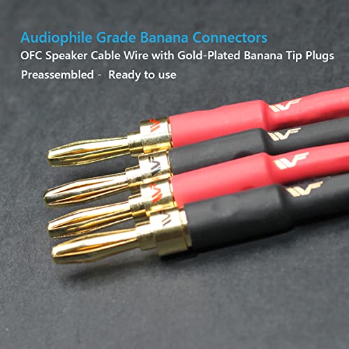 UCINNOVATE 2 Pack High-end Pure Copper HiFi OFC Speaker Wire Cable with Banana Plug, 3m Gold-Plated Banana Tip Plugs Male to Male 600 Strand 14 AWG for Audio Speaker HiFi System Home Theater (9.8FT) - size: 2 Pack 9.8FT
