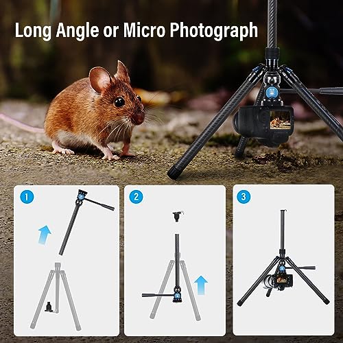SIRUI Carbon Fiber Tripod Lightweight 2lbs with Panoramic Fluid Head, 59.8” Compact Camera Tripod Quick Release Leg Setup, Reversible Center Column, Reverse Folding Legs, Max Load 11lbs - Traveler X - size: Fluid Head/AT-10