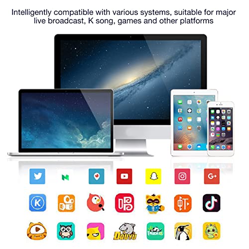 Voice Changer, Voice Changer Device Handheld Sound Card 8 Fixed Sound Effects Plug and Play, Gaming Recording, for Mobile Phone Computer