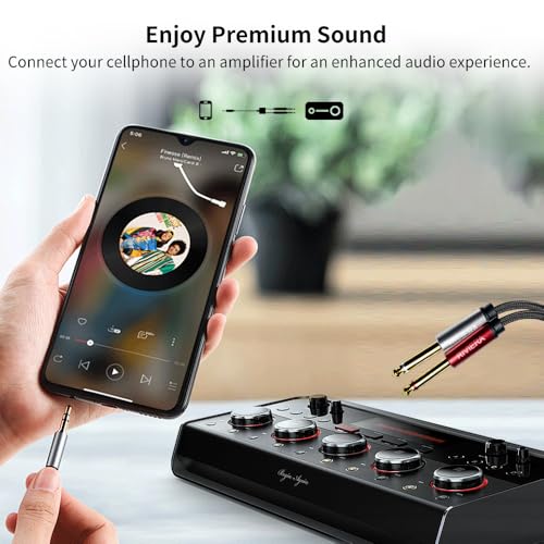 RIVIERA 10FT/3.0M Audio Cable 3.5mm 1/8" TRS to Dual 6.35mm 1/4" TS Braided Sheilded Copper Wire and 24K Gold Plated Low Noise with Braided Nylon Jacket for Digital Players & Musical Instruments - color: 1/8 TRS-Dual 1/4 TS Black, size: 10FT/3.0M