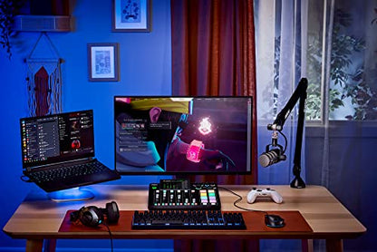 Rode PodMic Dynamic Podcast Microphone Bundle with 10-Foot Balanced XLR Cable — Cardioid XLR Studio Mic for Podcasting, Live Streaming, Voice Over, Broadcasting