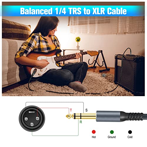 Twozoh XLR Male to 1/4 TRS Stereo Audio Cable 3.3FT 2 Pack, Braided Jack 6.35mm to XLR Male 3Pin Guitar Cable (Professional/HiFi) - color: 1/4 to XLR Male 2-Pack, size: 3.3FT