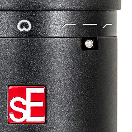 sE Electronics SE2200 Large-Diaphragm Condenser Microphone Bundle with Shockmount, Pop Screen Filter and 2 10ft XLR Cables