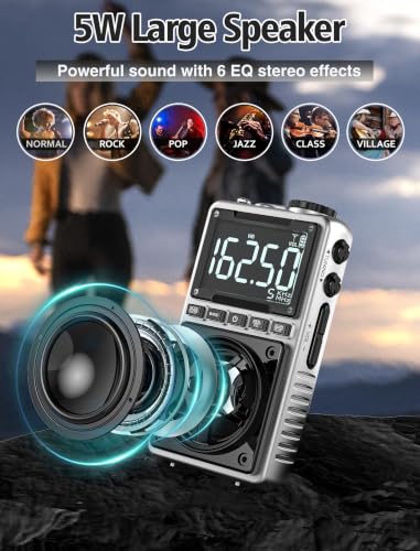 AM FM Shortwave Radio with NOAA Weather Alert,1250mAh Rechargeable | Bluetooth Portable Pocket Radio with Best Reception 5W Big Speaker Earphone,Support SD Card and USB Player Silver - color: Silver