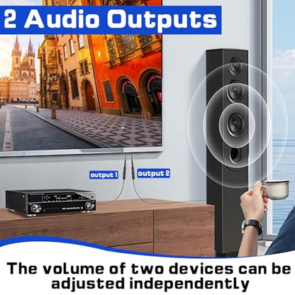 1 in 2 Out Digital Fiber Optic Optical Audio Splitter | 1 Male Input 2 Female Output, Supports LPCM/DTS, Compatible with Xbox, PS5, TV Box, Home Theatre