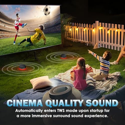 Bluetooth Speaker Set with Magnetic Base for Multi Room - color: Classic Black
