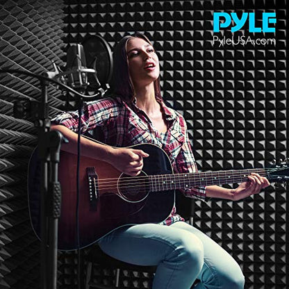 Pyle Sound Wall Panel Studio Foam-Acoustic Isolation Absorber Shield and Dampening Wedge with Height Adjustable, Includes Tripod Base Stand, 2 Pack PSIP24X2 - size: 2-Pack