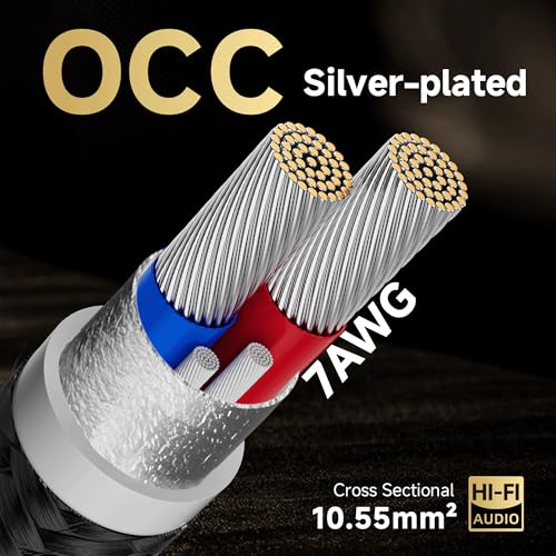 TODN 6.5ft Silver-Plated OCC Speaker Cable with Banana Plugs HiFi Shielded | 1 Cable Rhodium-Plated Banana Plug Speaker Wire, Carbon Fiber Shell, Nylon Braided for Speakers Home Theater Amplifier Stereo - color: Speaker Cable Master, size: 2m