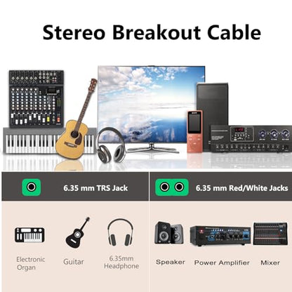 TRS to Dual TS Breakout Cable - 1/4" Female Stereo to Dual 6.35mm TS Male Adapter & 6.35mm Female to 2 x 1/4" Mono Y Splitter - 1 ft - color: Black 1/4" TRS Female to Dual 1/4" TS Male 1 Foot