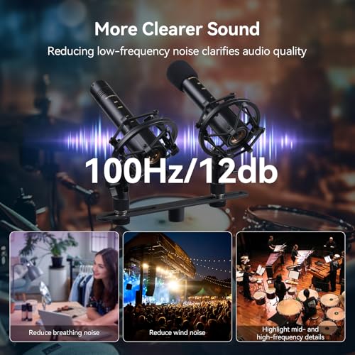 SVBONY SVMic M1 2-Pack Condenser Mic with Low Cut/-10dB Pad for Bass | 22mm Gold Instrumental Mic, Supports XY and AB Stereo Configurations, Shock Mount, T-Bar & Case