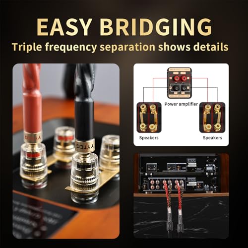 12 AWG 2Pack Audiophile Speaker Cable – Speaker Wire with Banana Plugs,4N OFC Core,Nylon Braid,Audio Wire,Compatible with Amplifier,Speakers,AV Receiver& Home Theater(9.84ft/3m) - size: 9.84ft/3m, style: 4N 12AWG