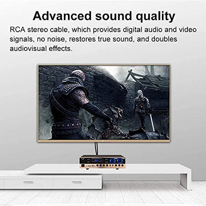 2 x 6.35 mm to 2RCA Cable 20 ft,Dual 1/4 inch TS Stereo Jack Male to 2 RCA Male Stereo Audio Cable Splitter Adapter (20ft/6m, Black) - size: 20ft/6m