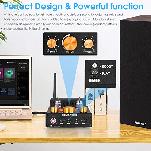 Douk Audio Tube Phono Amp: Bluetooth Receiver | 2-Channel Amplifier for MM Turntables | 160W×2 TDA7498E | Tone Control | for Desktop Vinyl HiFi Home Audio System (X1)