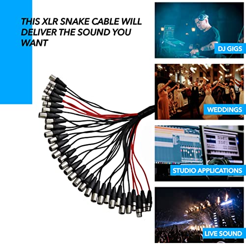 Seismic Audio SACB-32x8x100 32-Channel XLR Low Profile Circuit Board Snake Cable, 100-Feet - size: 100 Foot - 32 Send x 8 Return