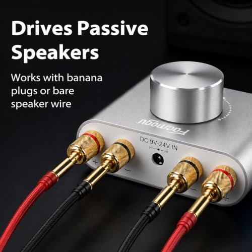 Facmogu F900S Bluetooth 5.0 Mini Power Amplifier, 80Wx2 Stereo Digital Amp | 160W 2.0CH | Hi-Fi Wireless Audio Receiver | AUX/USB/BT Input | Included 12V Power Adapter | For Passive Speakers | Silver - color: Silver, size: 80W+80W