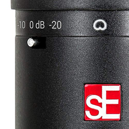 sE Electronics SE2200 Large-Diaphragm Condenser Microphone Bundle with Shockmount, Pop Screen Filter and 2 10ft XLR Cables