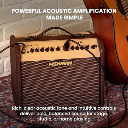 Fishman Loudbox Mini 60-Watt Acoustic Guitar Combo Amplifier Bundle with Gearlux XLR Cable, Instrument Cable, and Austin Bazaar Polishing Cloth - size: Mini 60W