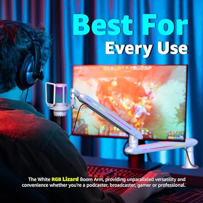 IXTECH RGB Low Profile Boom Arm for Mic, Adjustable Microphone Arm Stand with Desk Mount Clamp, Rotatable Microphone Boom Arm Mic Stand with Cable Management for Podcast Streaming Gaming Studio. - color: 5 LIZARD RGB