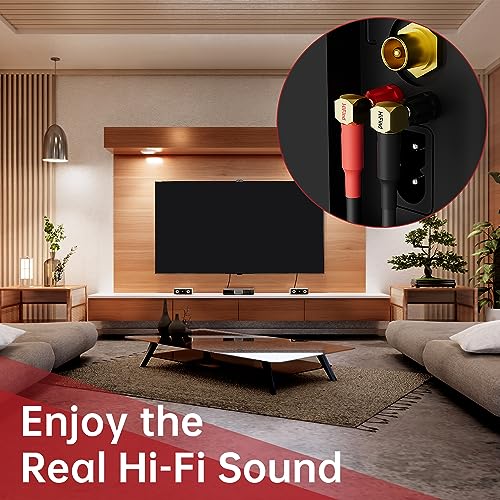 HiFind Speaker Cable Wire 10 Ft/2 Pack with Gold-Plated 90 Degree Angled to Straight Banana Tip Plugs-UL CL3 Rated-Indoor&Outdoor-16 AWG Tinned Copper for Bi-Wire Bi-Amp HiFi Sound - size: 10FT-2Pack