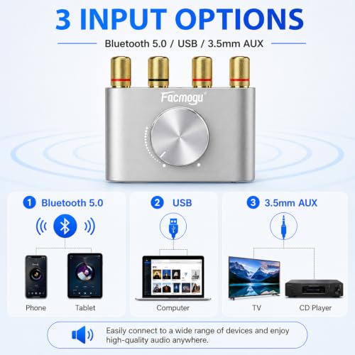 Facmogu F900S Bluetooth 5.0 Mini Power Amplifier, 80Wx2 Stereo Digital Amp | 160W 2.0CH | Hi-Fi Wireless Audio Receiver | AUX/USB/BT Input | Included 12V Power Adapter | For Passive Speakers | Silver - color: Silver, size: 80W+80W