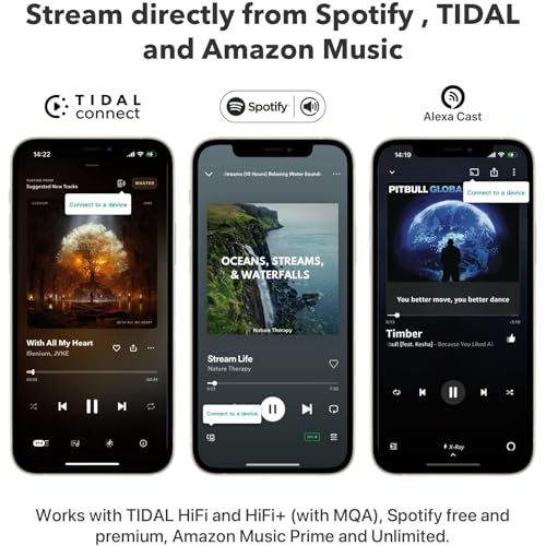 WiiM Mini AirPlay 2 Wireless Audio Streamer, Multiroom Stereo, Preamplifier, Works with Alexa and Siri Voice Assistants, Stream Hi-Res Audio from Amazon Music, Tidal and More