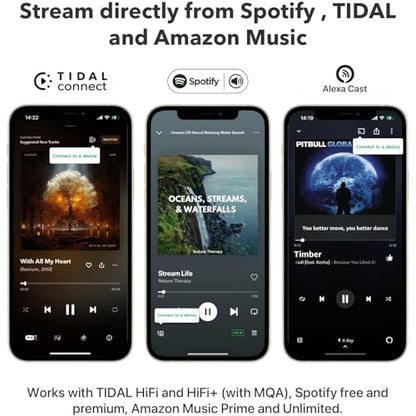 WiiM Mini AirPlay 2 Wireless Audio Streamer, Multiroom Stereo, Preamplifier, Works with Alexa and Siri Voice Assistants, Stream Hi-Res Audio from Amazon Music, Tidal and More