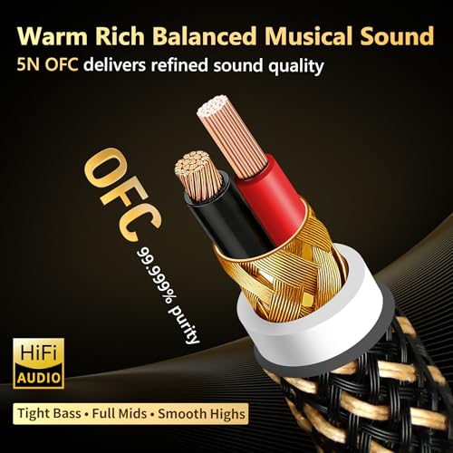 HiFi RCA Cables,Audiophile 5N OFC Nylon Braided RCA Audio Cable | Fully Shielded,24K 5μm Gold Plugs,Ferrite Core,Anti-Interference,For Home Stereo Car Audio Subwoofer Cables(19.69in/1.64ft) - size: 1.64 ft（19.69 in）
