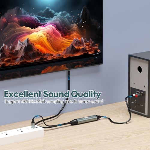 Adoreen Unidirectional SPDIF Toslink Optical Input to 2 RCA Output Adapter Cable 10 Ft, 192kHz DAC Digital to Analog Audio Converter for HDTV, DVD, Blu-Ray Players, Game Consoles-NOT RCA to Optical - size: 10FT, style: Optical to 2 RCA