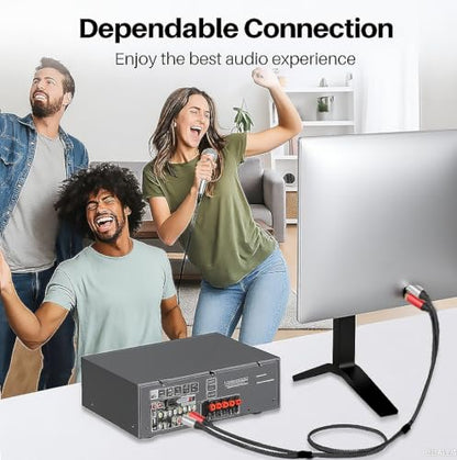 2RCA to 2RCA Audio Cable 100FT Gold-Plated Male to Male Stereo Subwoofer Cable, Nylon-Braided Hi-Fi RCA Cables for Home Theater, Car Audio, Amplifiers, Speakers (Dual Shielded Copper Core) - size: 100ft, style: 2RCA to 2RCA Cable