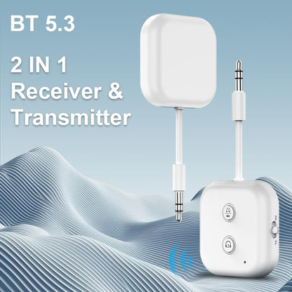 Ultimate Bluetooth 5.3 Wireless Audio Transmitter Receiver up to 2 AirPods/Wireless Headphones - Use with Any 3.5 mm Audio Jack for Airplanes, Gym, TVs, Car/CD-Like Voice Enjoyment and Home Stereo - size: Pro