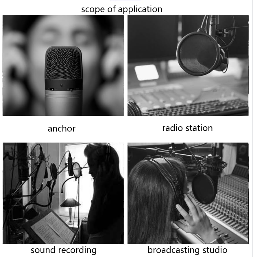 professional microphone windproof and spray proof cover, 6-inch double-layer windproof screen with flexible 360 ° gooseneck clip stabilizing arm, suitable for Blue Yeti and any other microphone (1)