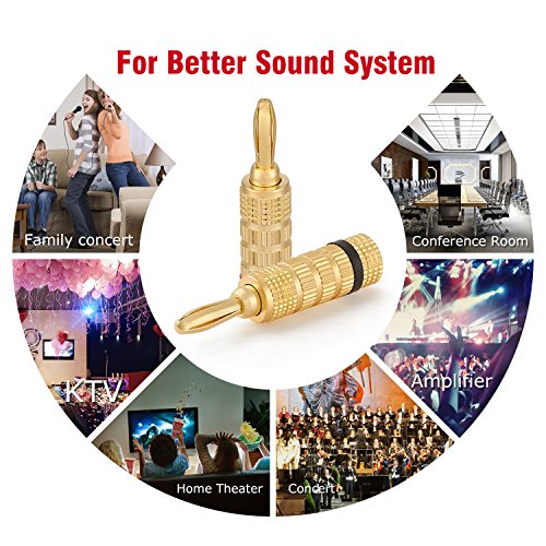 WGGE WG-3333 24k Gold Plated Speaker Banana Plugs-Closed Screw Type (5 Pairs (10 Plugs)) - size: 5 Pairs (10 PLUGS)