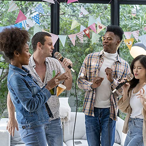 Marengo Handheld Dynamic Microphone for Karaoke Singing, Wired XLR Microphone with On and Off Switch and 13ft Detachable XLR Cable - color: aMWH68