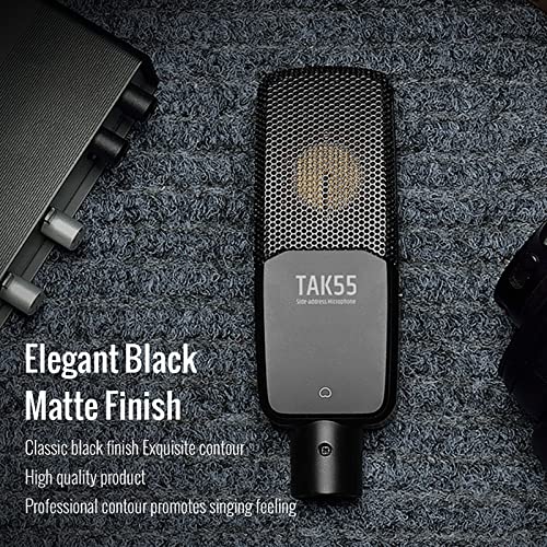 TAKSTAR TAK55 XLR Condenser Microphone with 34mm Large Diaphragm