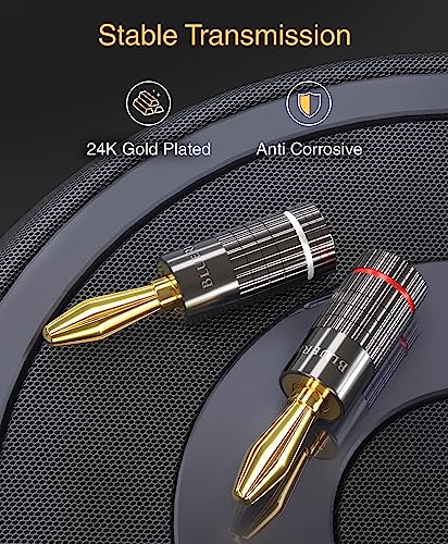 BlueRigger Banana Plugs 2 Pairs / 4 pcs (Closed Dual Screw) - 4 Pack Gold Plated Speaker Plugs Connector for Speaker Wire, Amplifier, Receiver, Banana Wall Plate, Home Theater - size: 2 Pairs